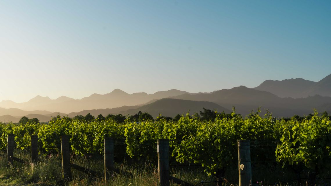 Rimapere, l&rsquo;autre visage des vins Edmond de Rothschild