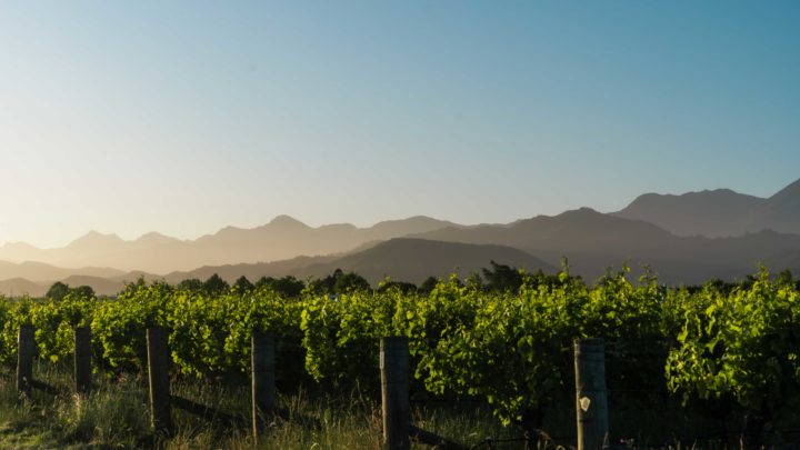 Rimapere, l&rsquo;autre visage des vins Edmond de Rothschild